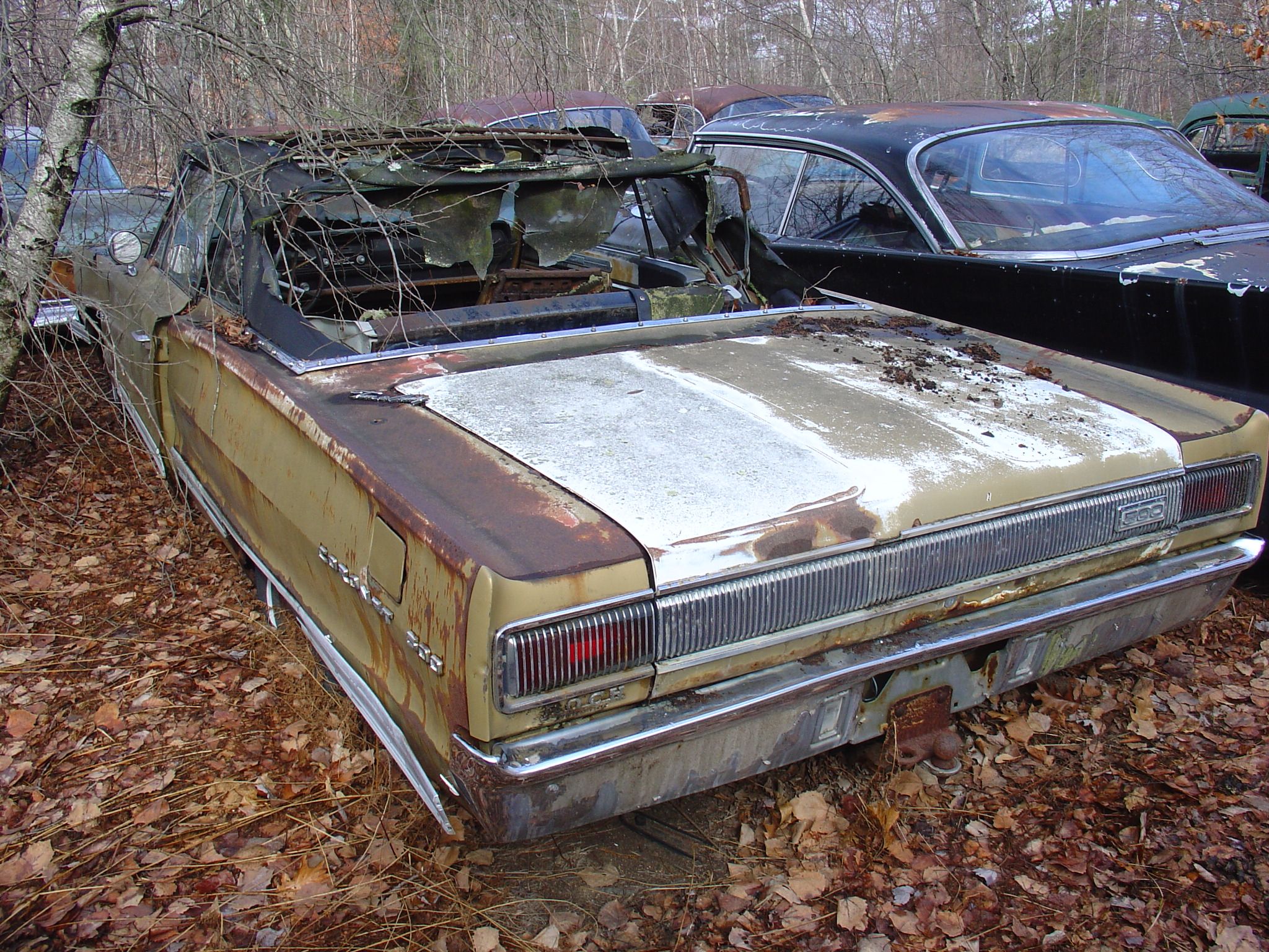 Bellingham Cars For Sale at Marilyn Stumpf blog